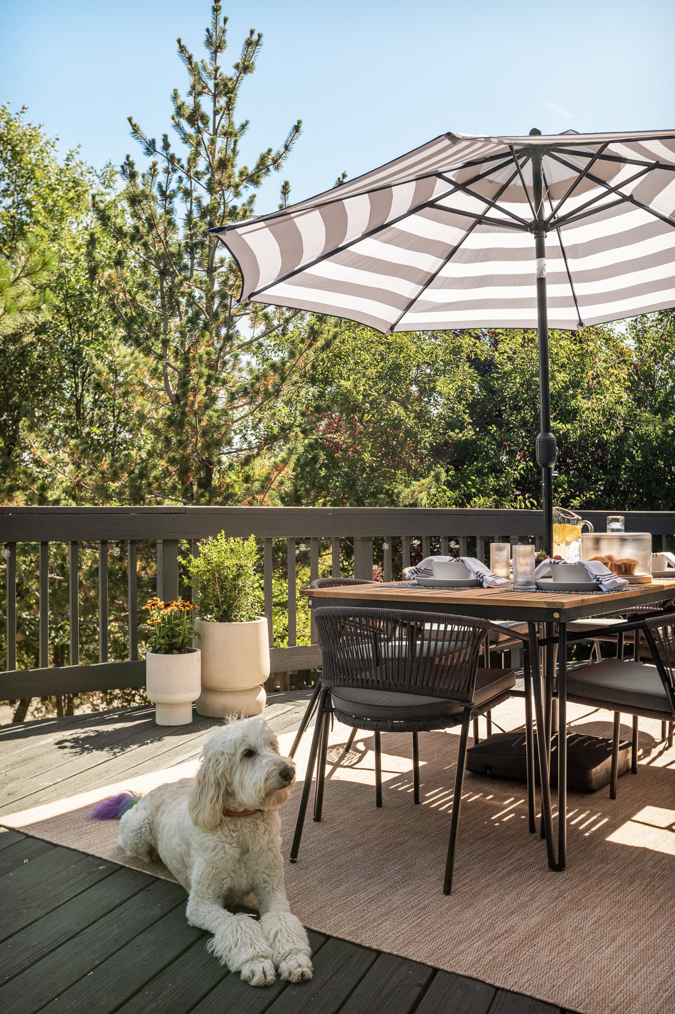 Property aerial view through the trees