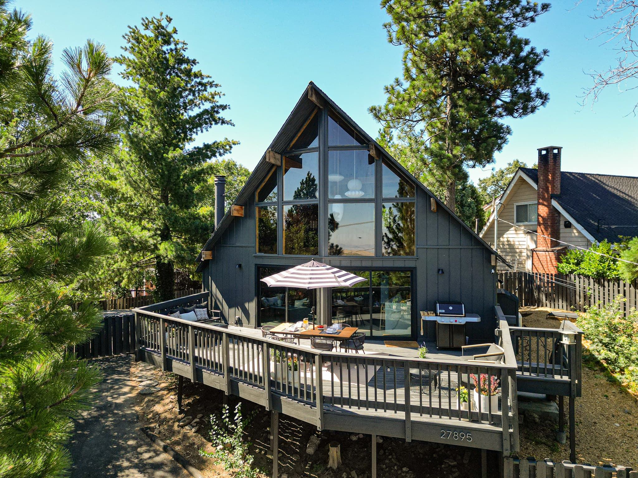 Mountain setting with pine trees